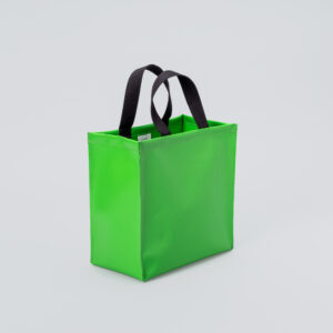 Le bag vert