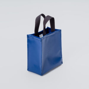 Blue and White Multi-purpose Bag